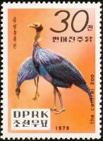 (1979-103) Марка Северная Корея "Грифовая цесарка"   Зоопарк в Пхеньяне III Θ